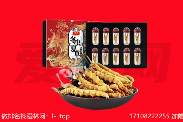 河源市龙川回收虫草.jpg